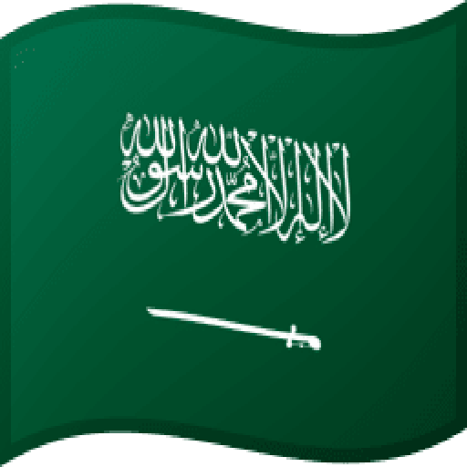 يعرض العلم السعودي الشعار الوطني مع سيف ودرع متراكبين على خلفية بيضاء